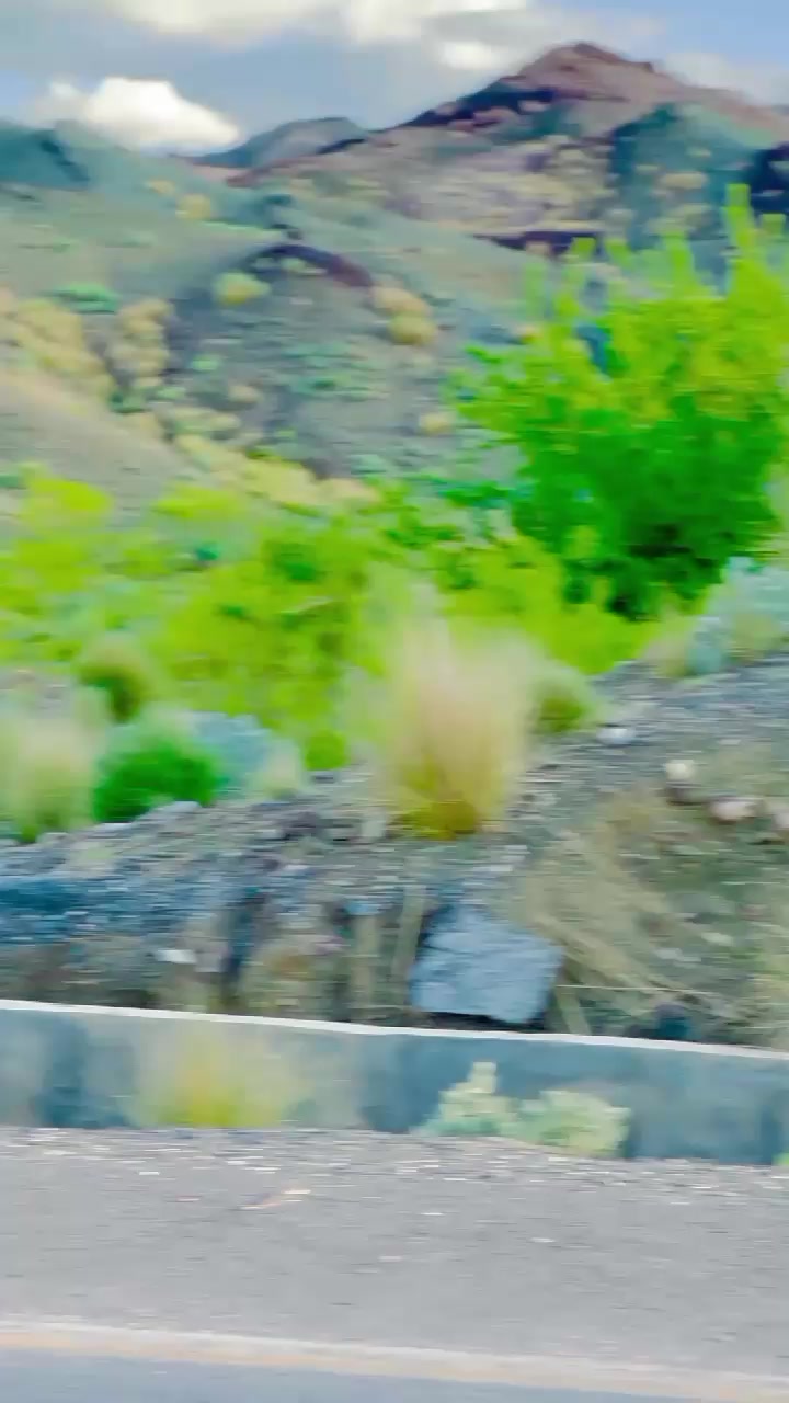 @❤️عمیر شیرانی❤️