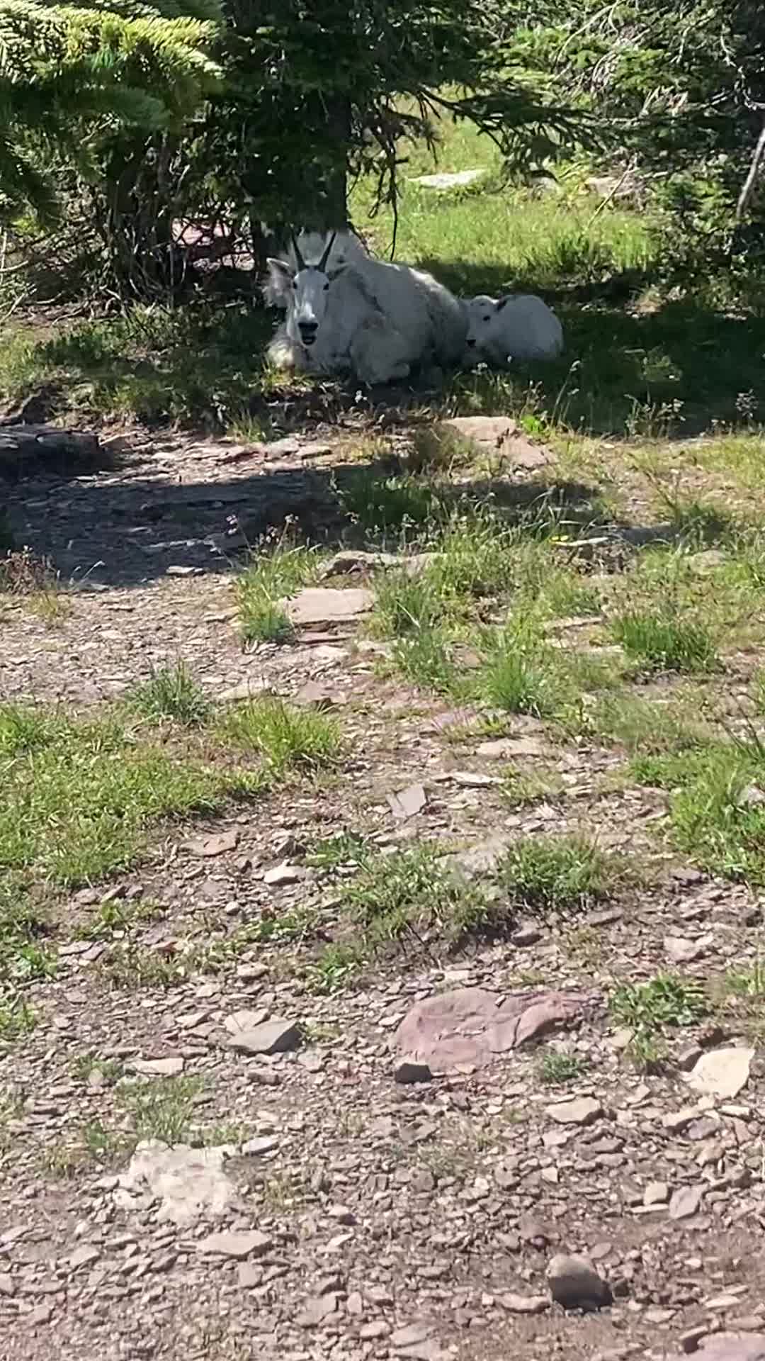 @outdoorjim