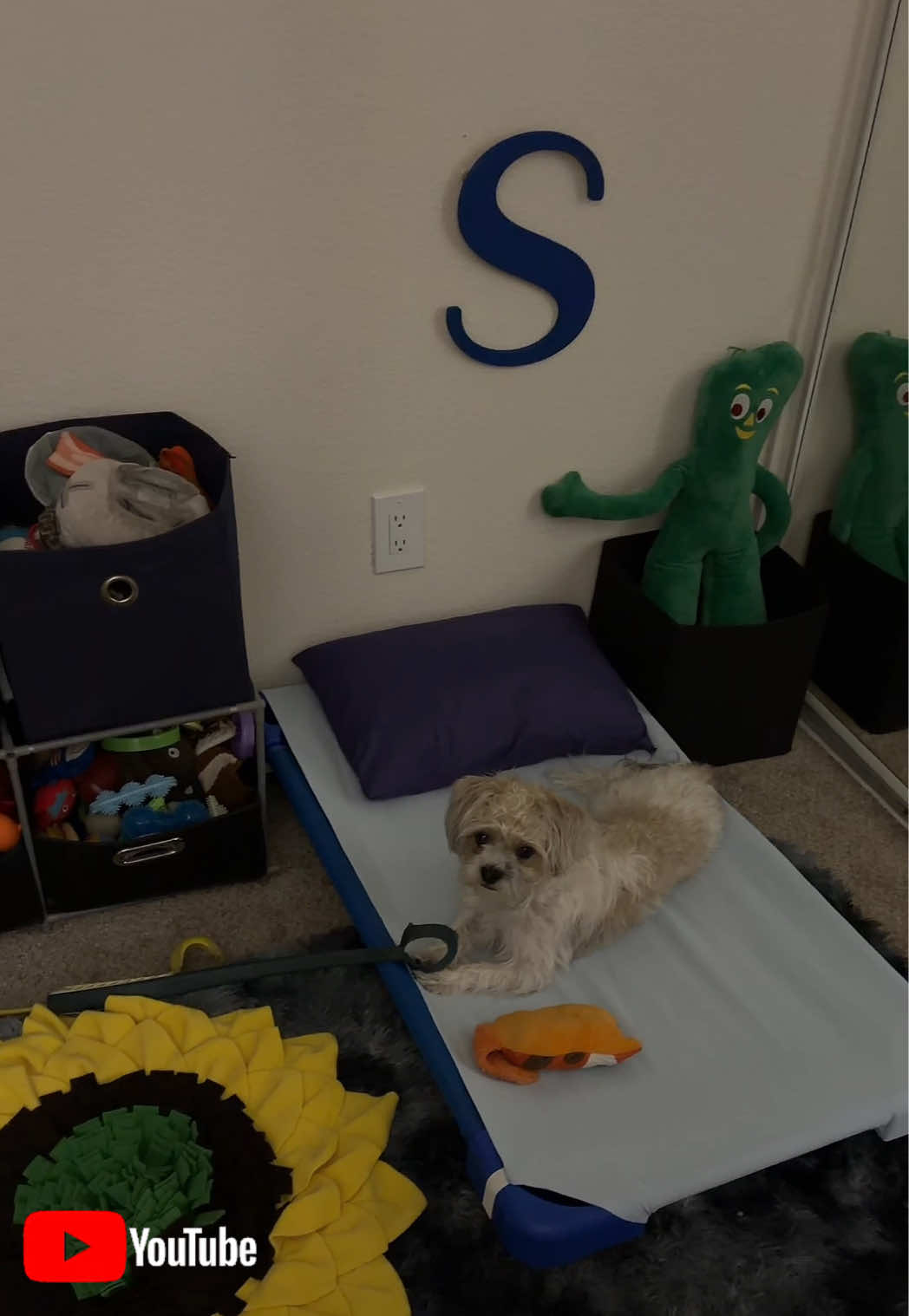 @livinlifewithsugieandsonny