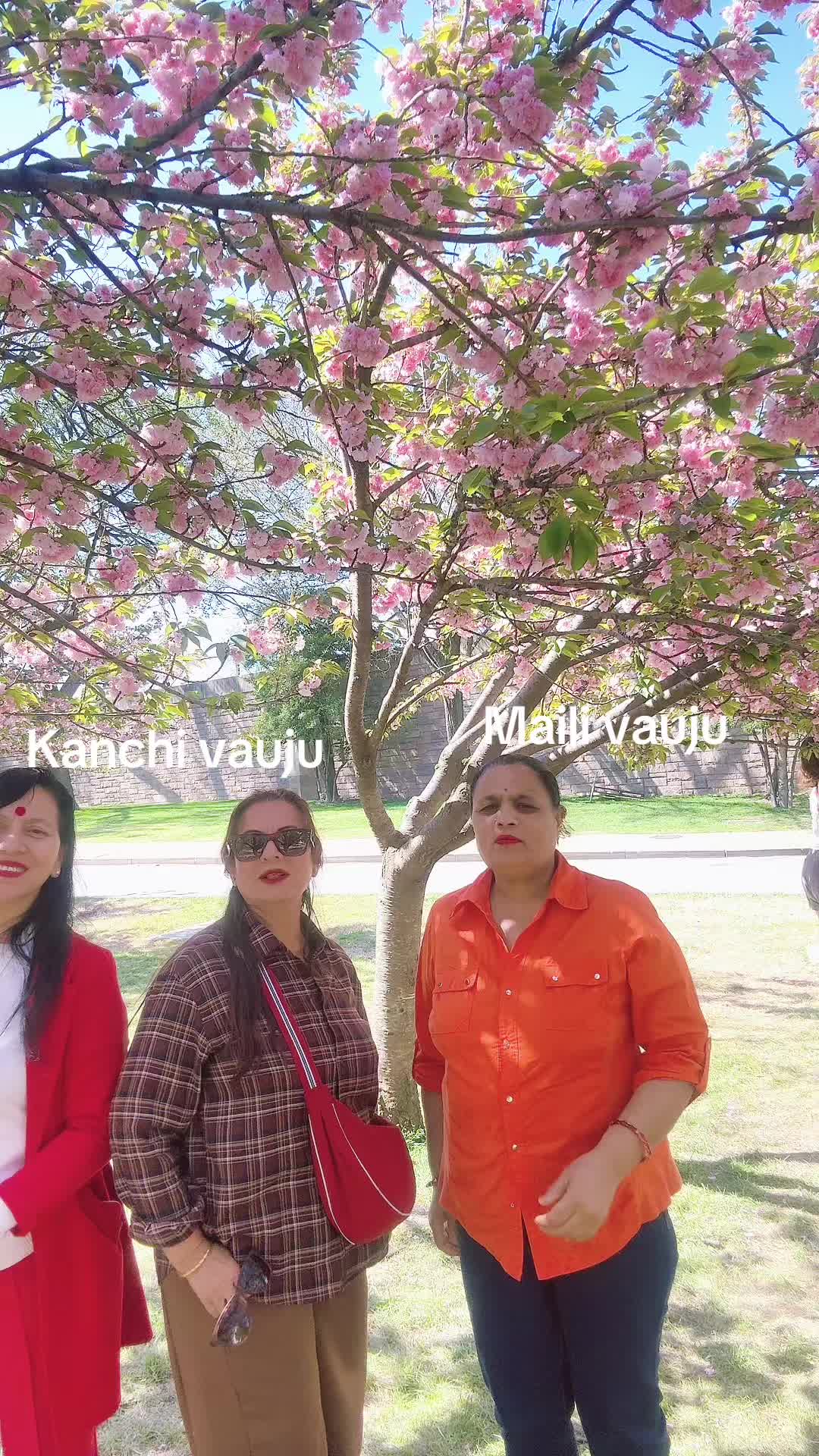 @Maya Giri