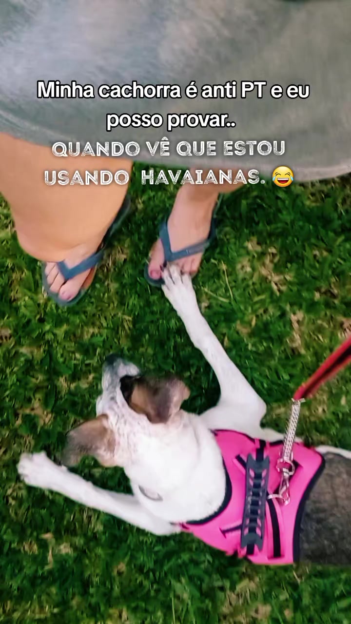 @@dicrisfer