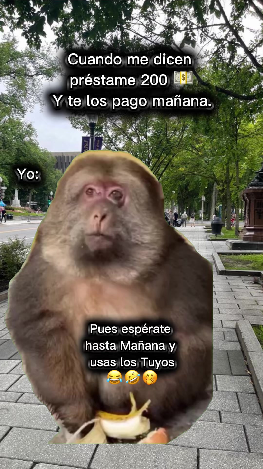 @Charly Orta