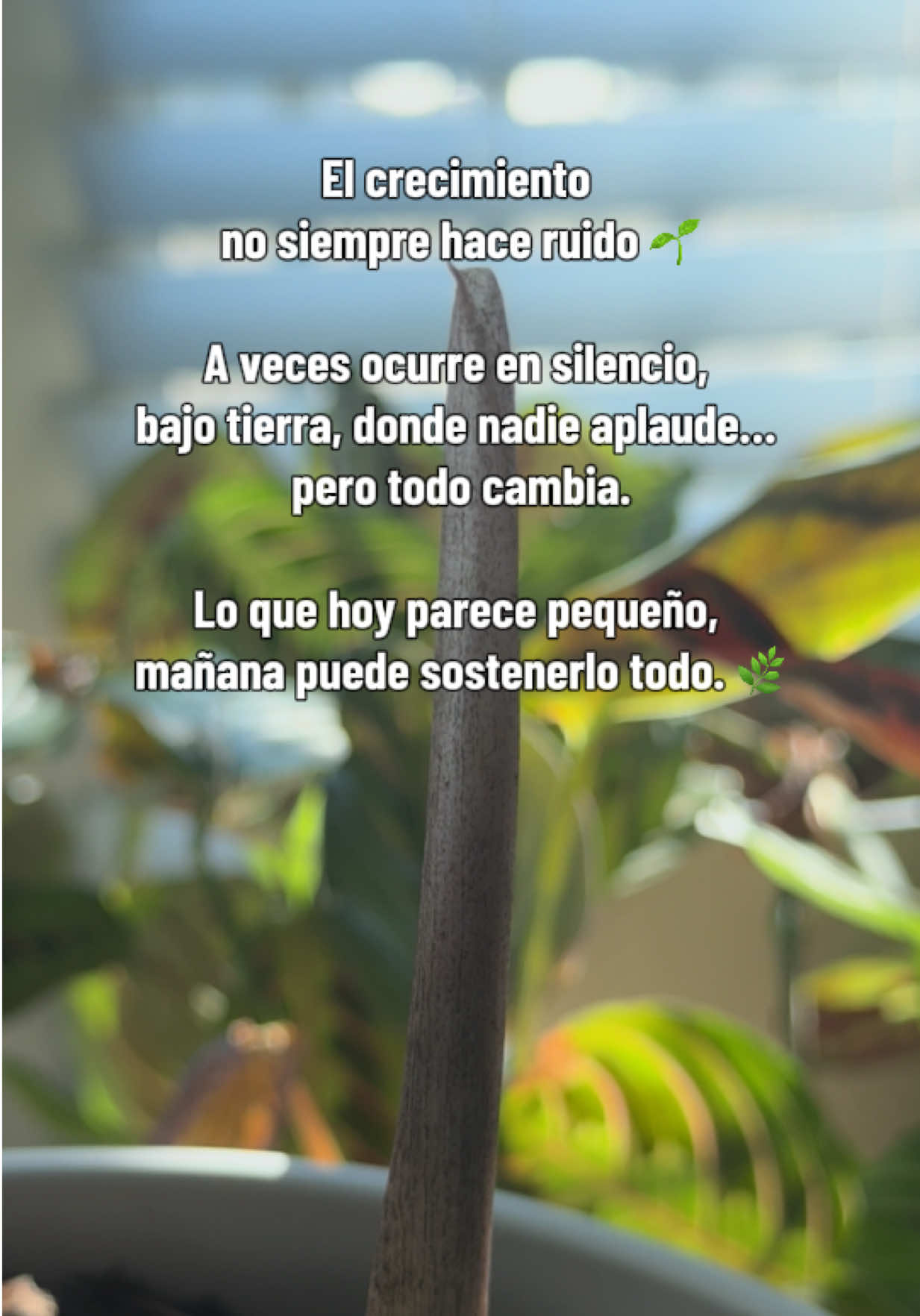 @Jorge Alberto Holguin Lozano