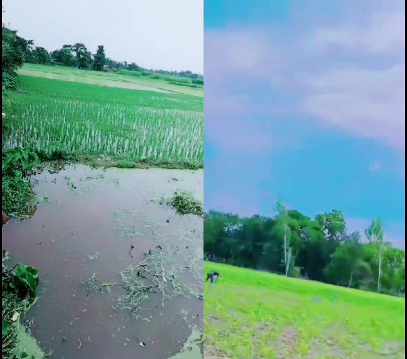 @Arjun kumar😎