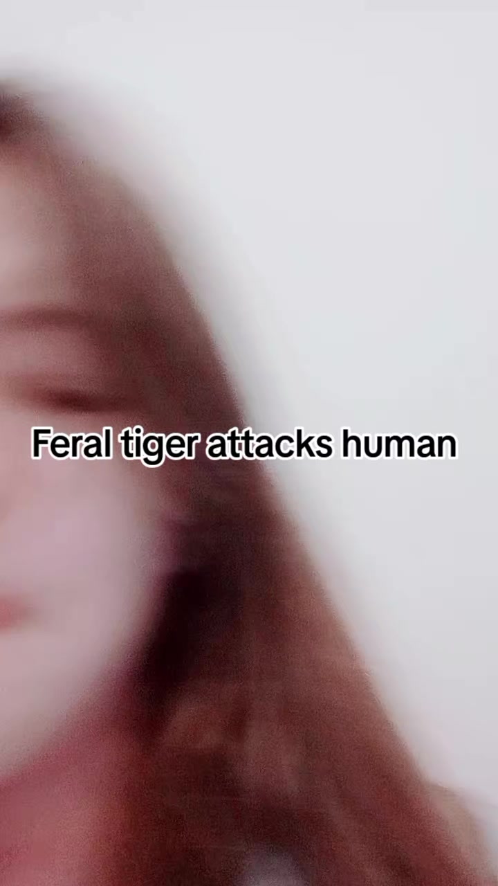 @Seishin LF