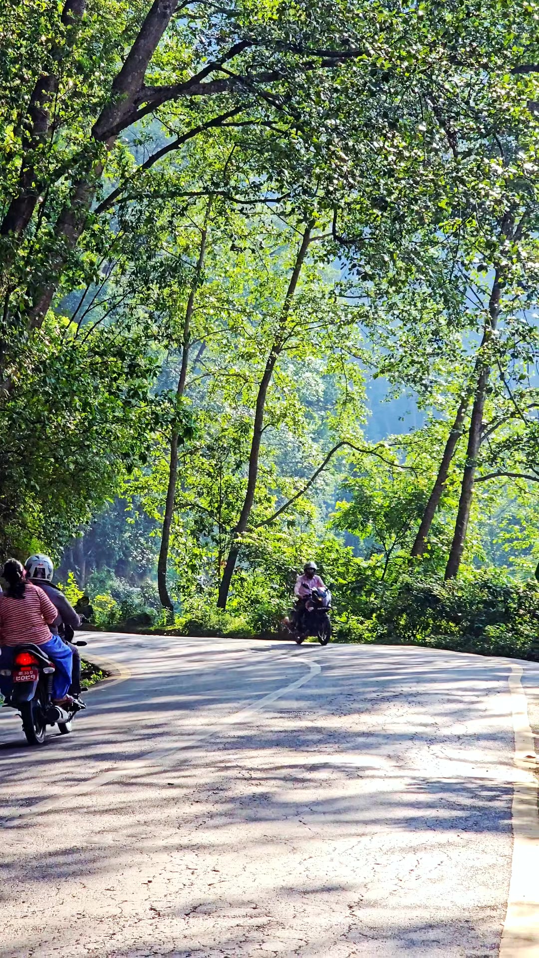@Rabin Tamang (रबिन तामाङ)