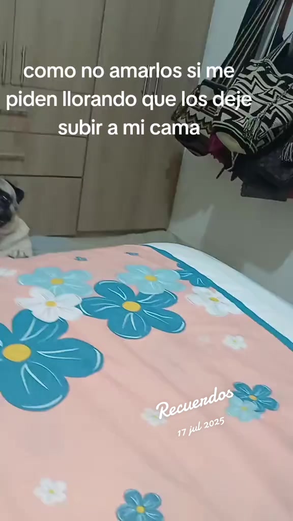 @dulce luna