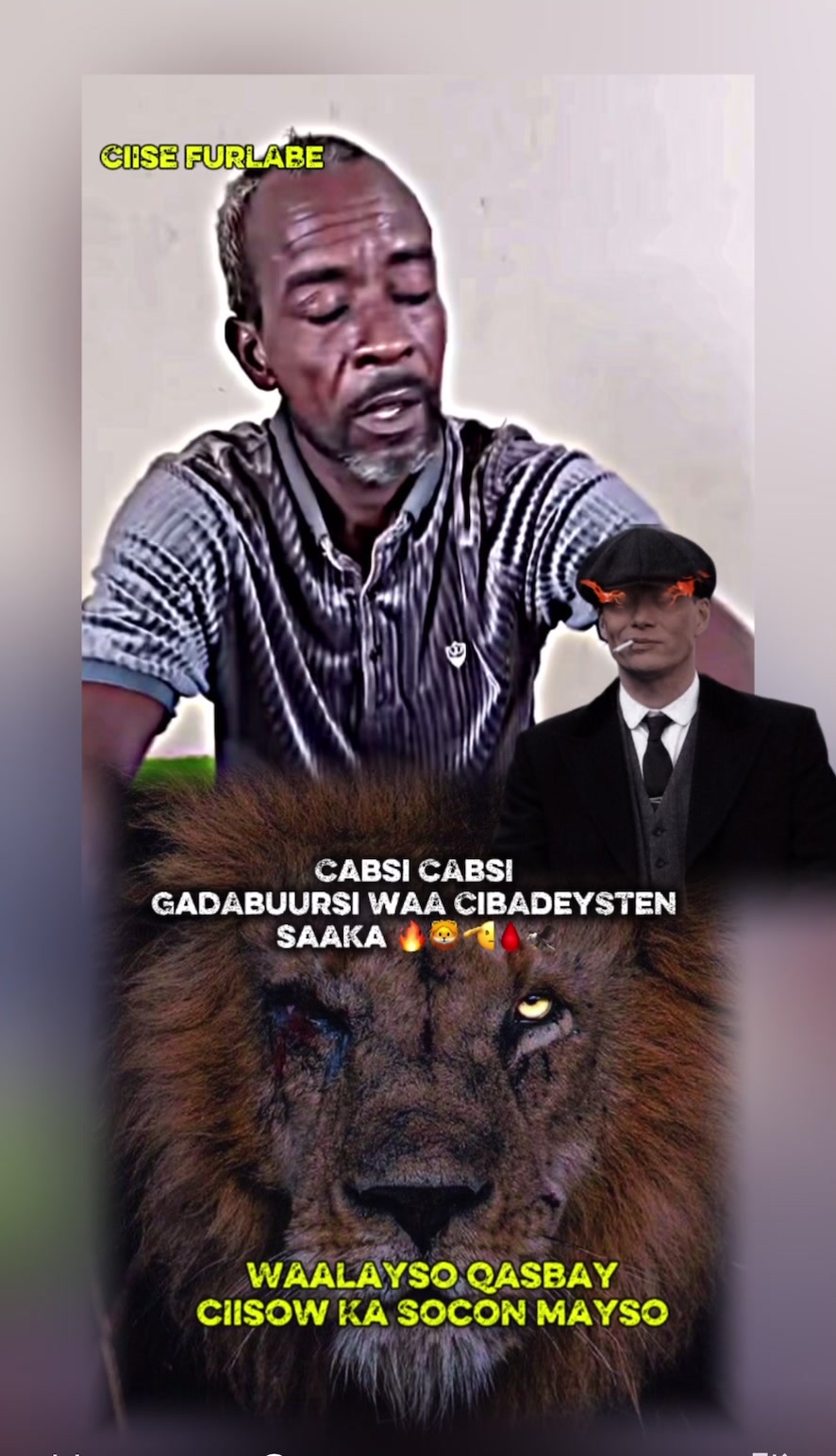 @𝐊𝐈𝐋𝐋𝐄𝐑 𝐓𝐯 𓃵📚