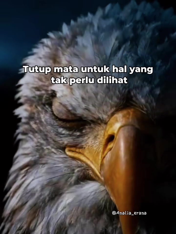 @Analia Kim