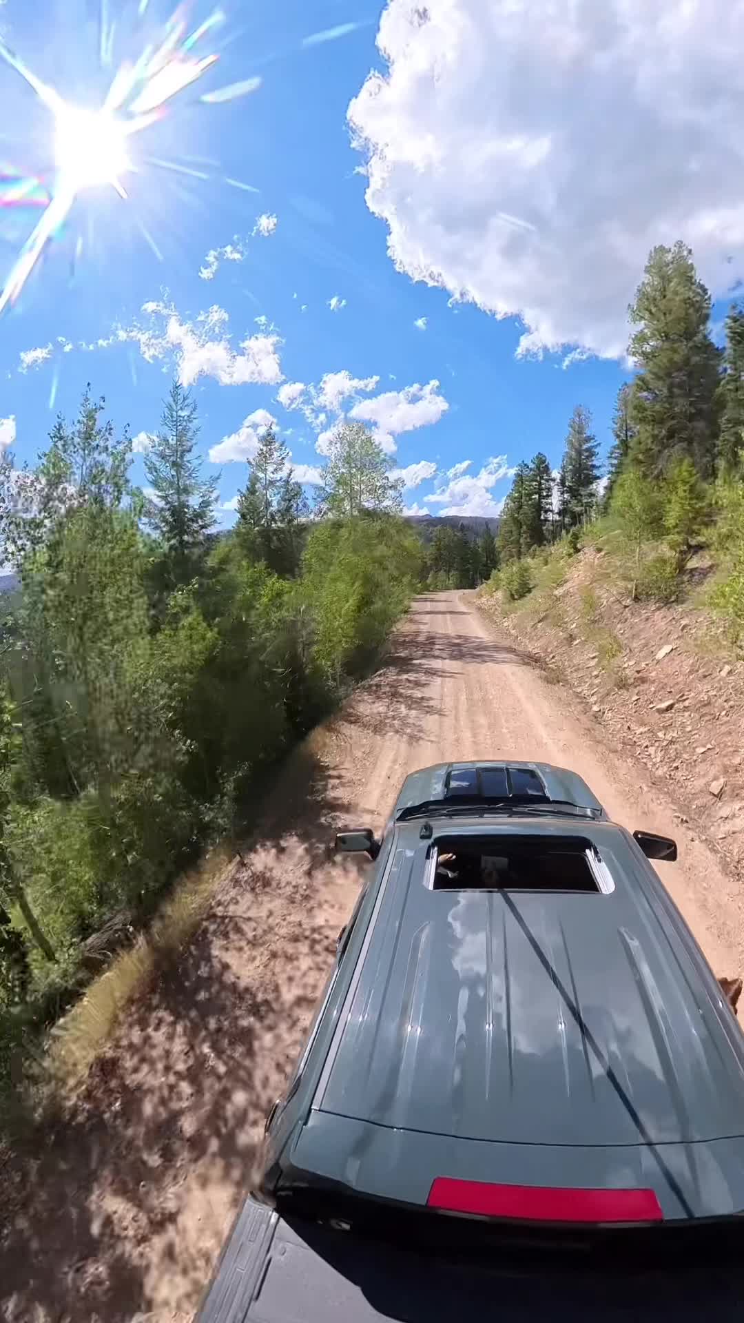 @followthehunt