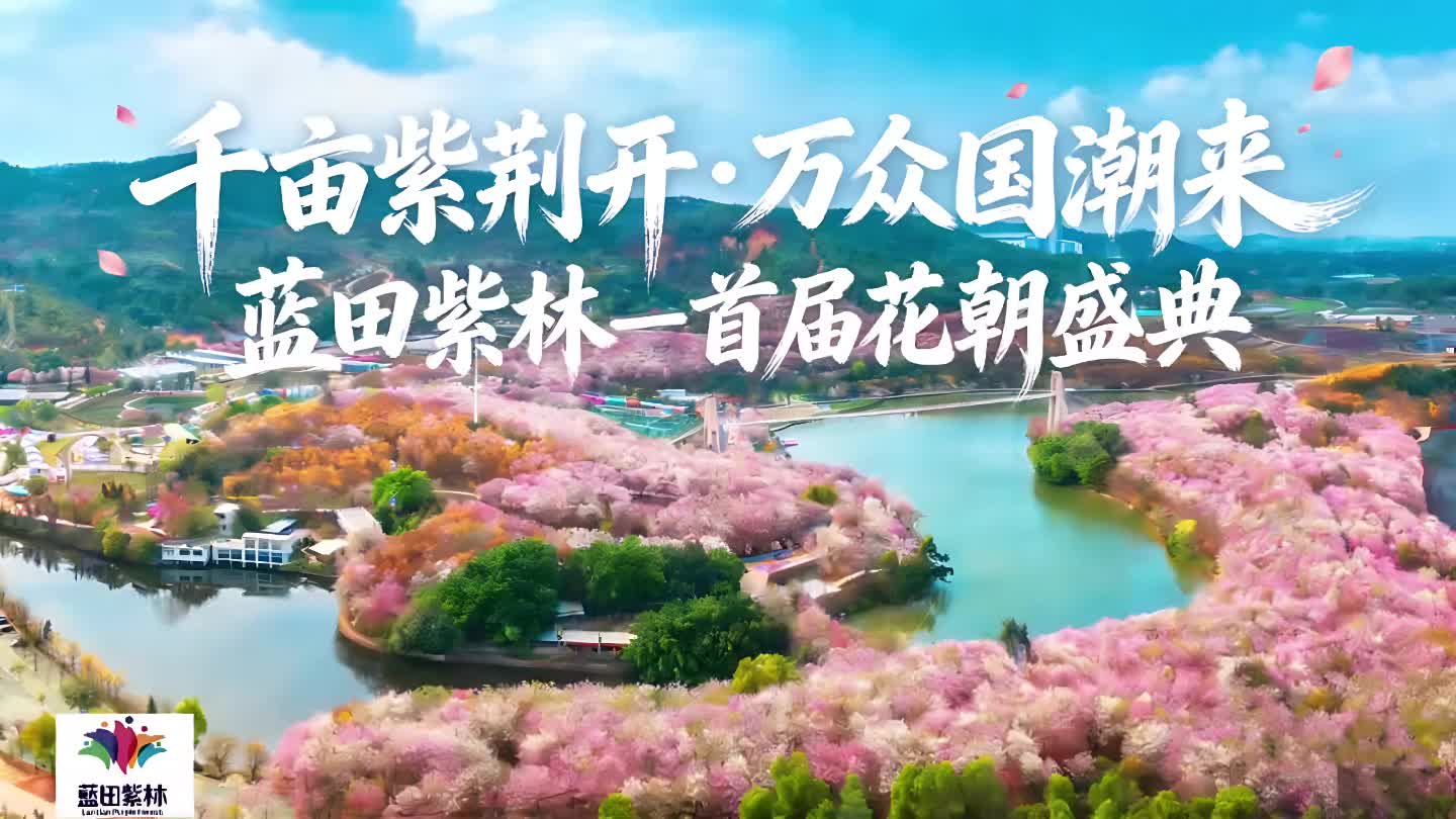 @Flower City