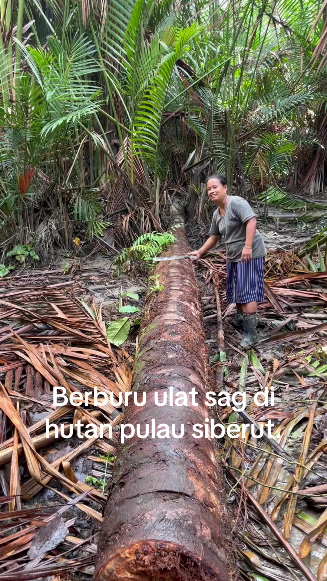 @Uluikunz