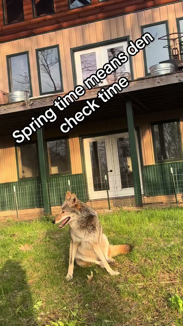 @ittybittyfarm1
