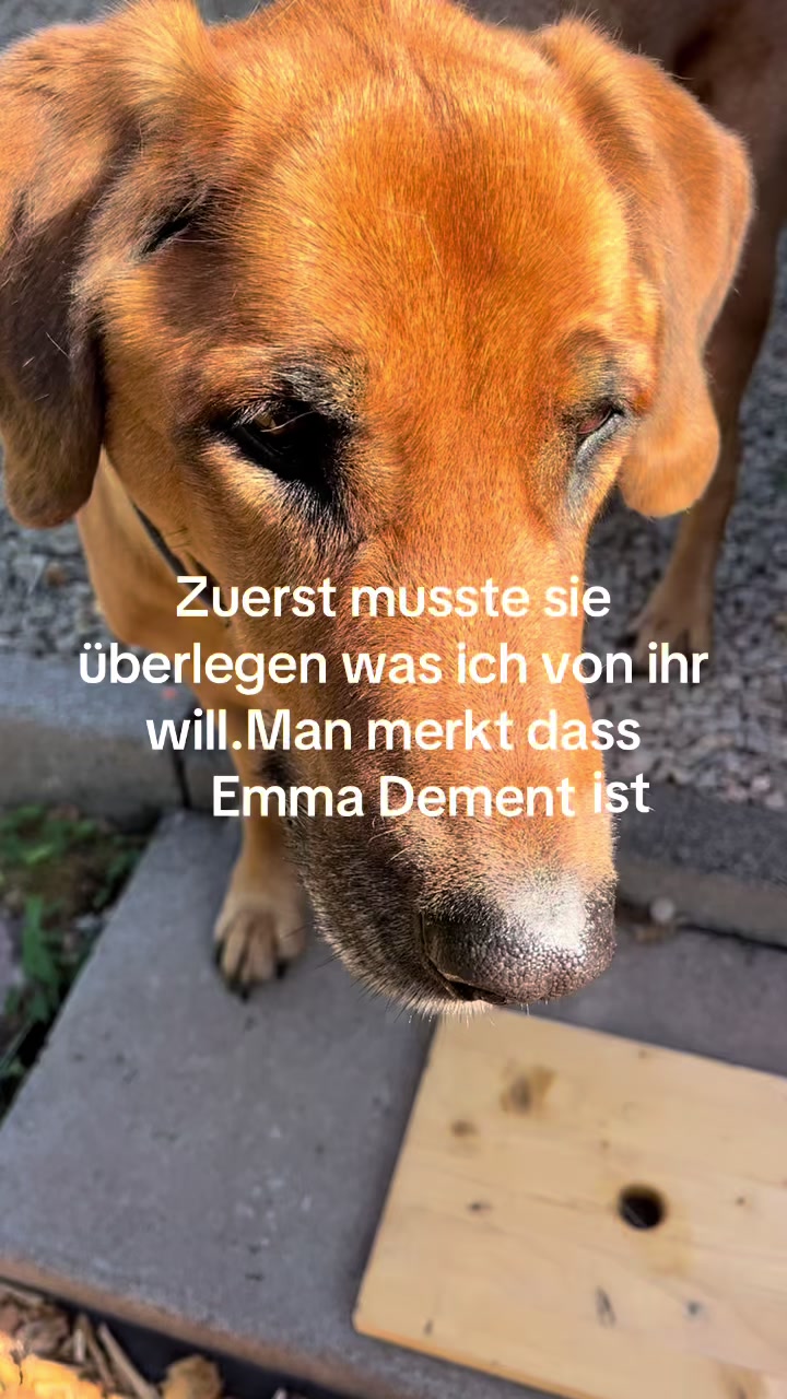 @Emma u.Biggi