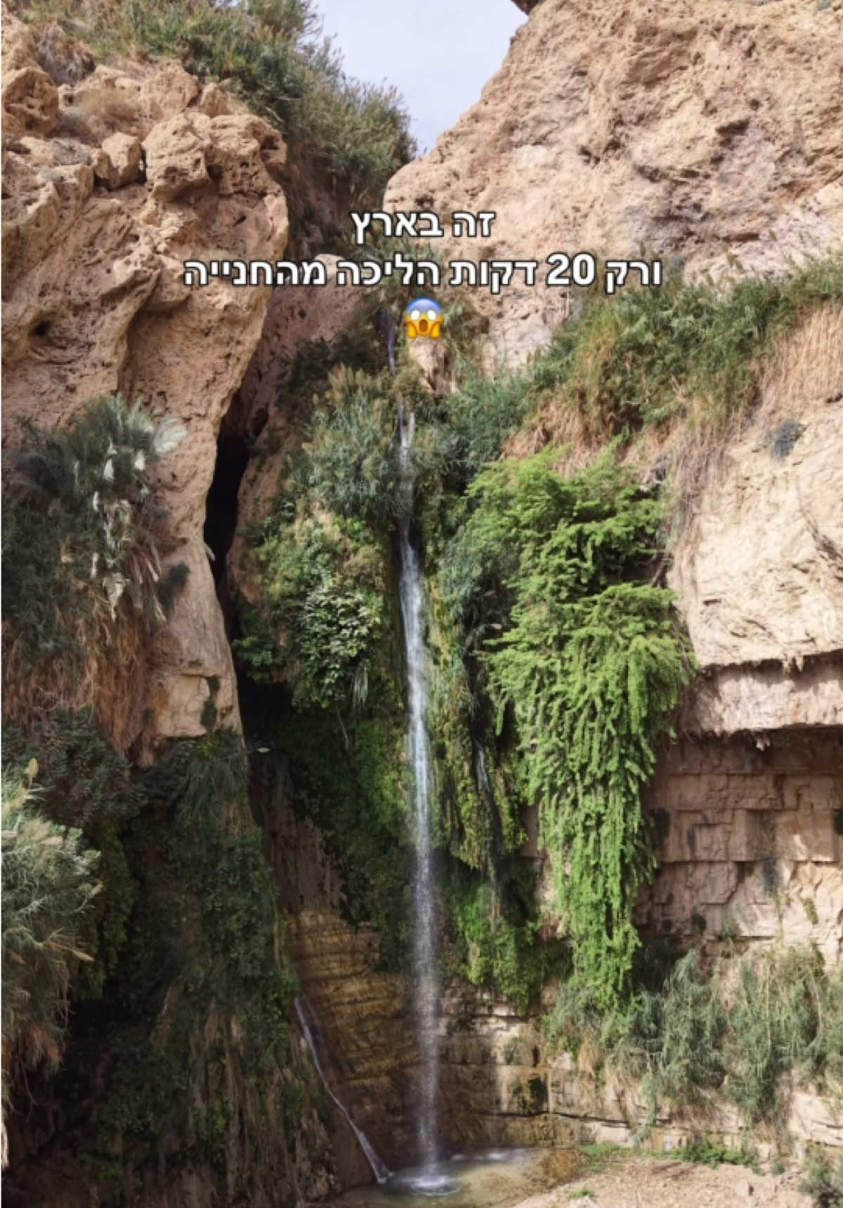 @AviranTravels