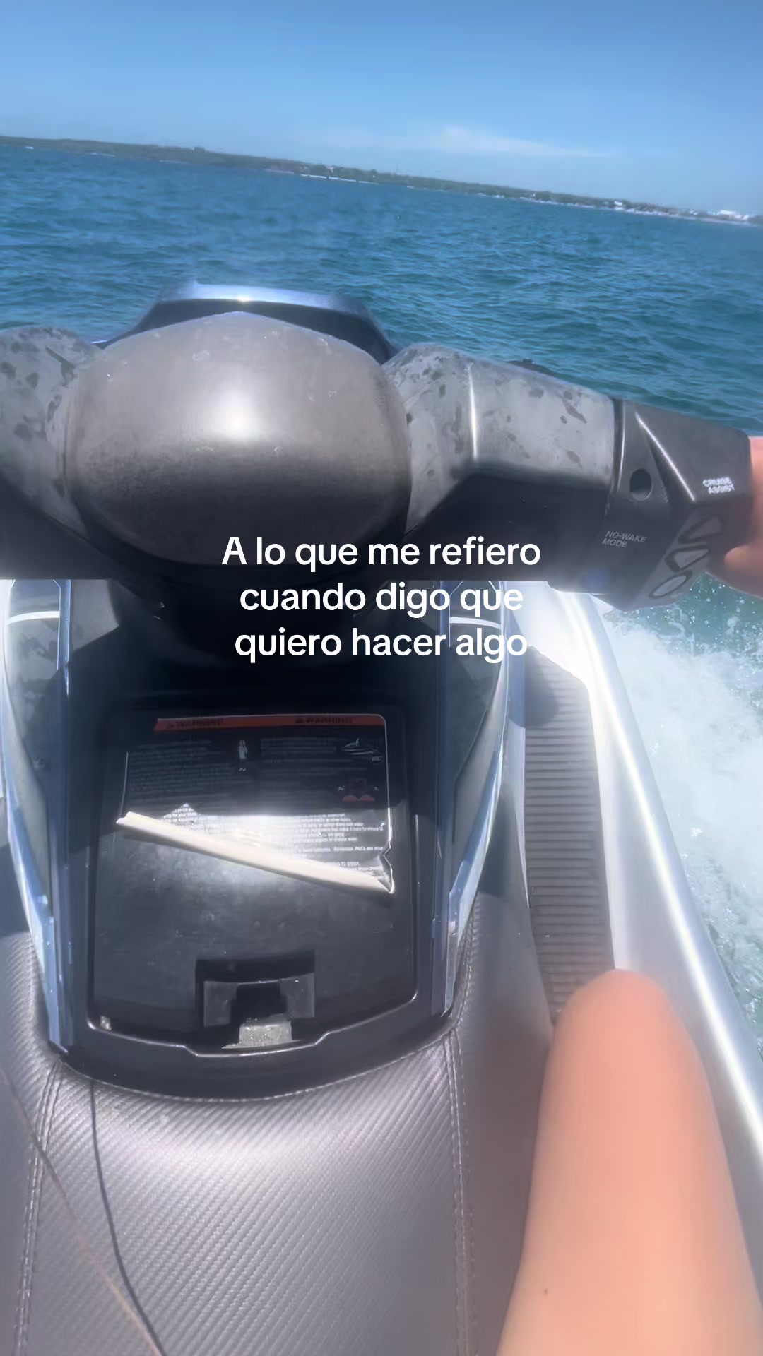 @Mariana Zurita