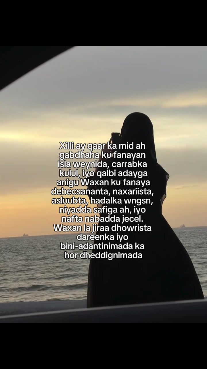 @Meow🐈⬛