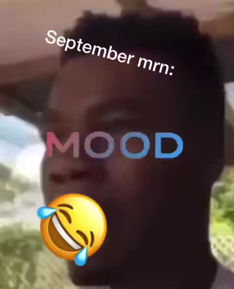 @🎰DEVMOODS🎰