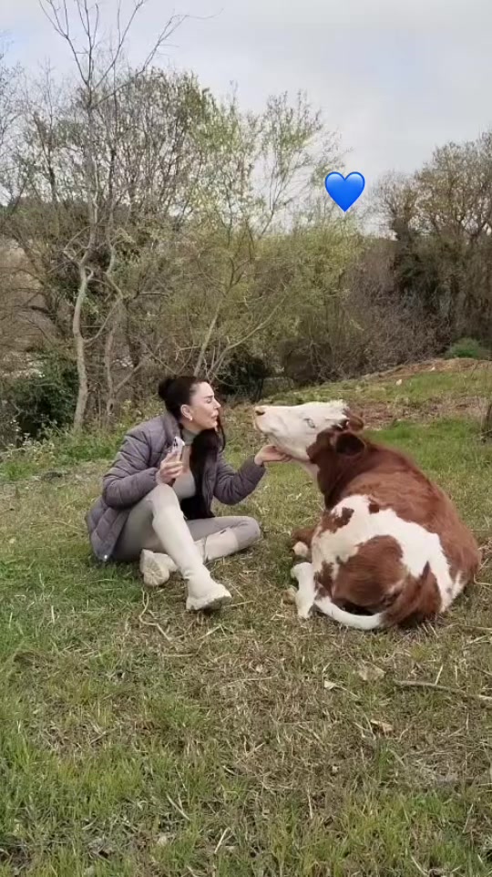 @AYSU BACEOĞLU