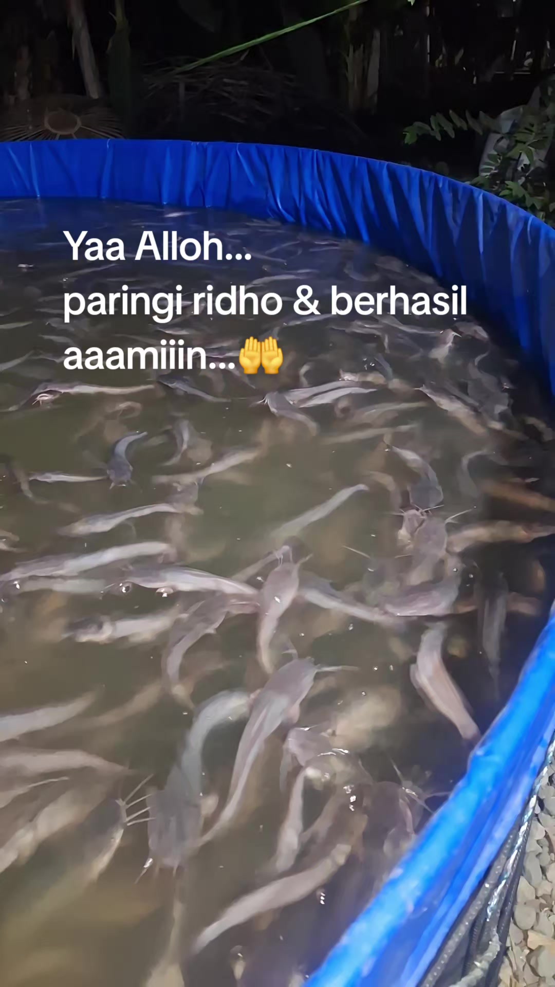 @Faridsdc_id