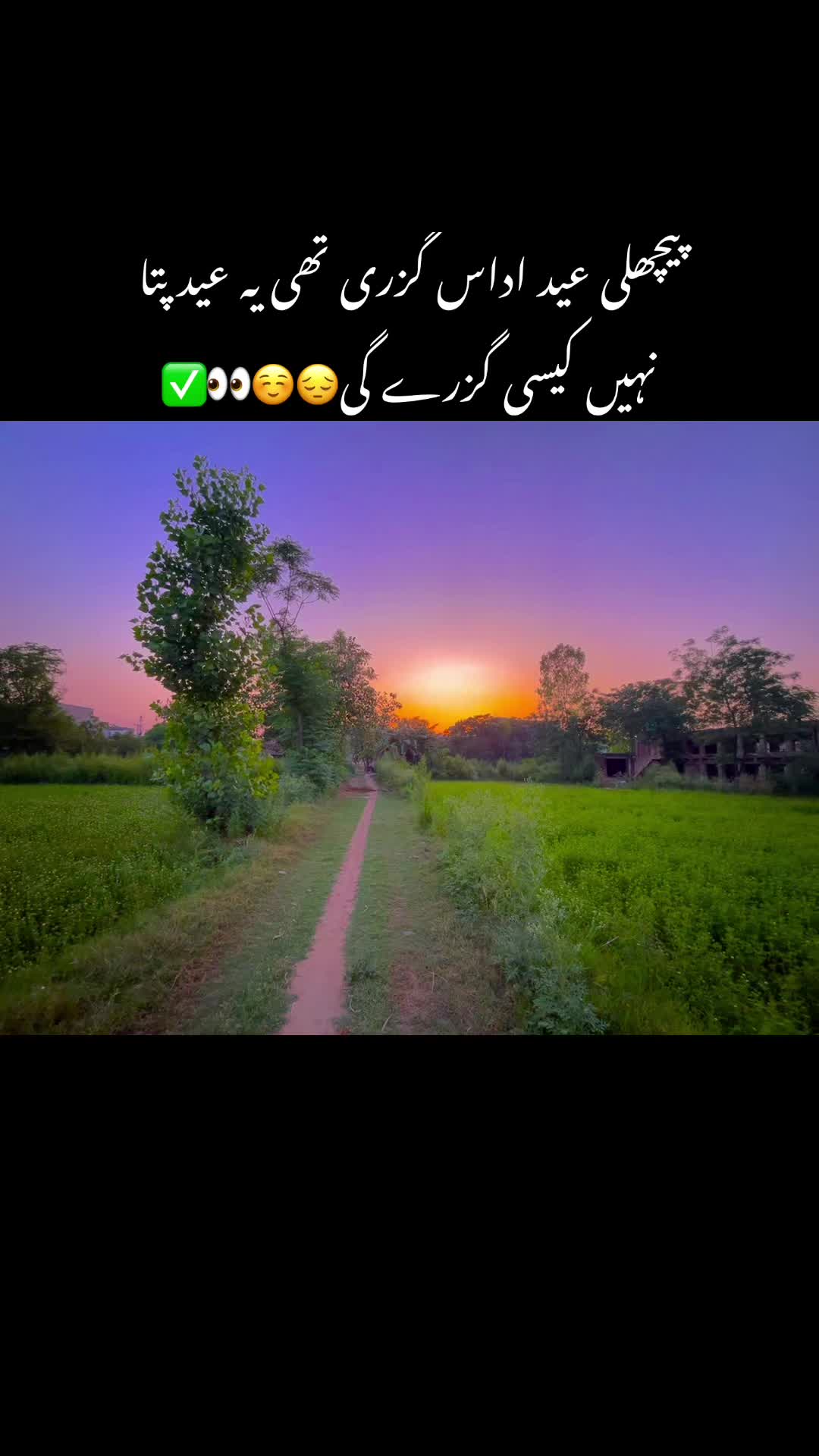 @shehrozependu1000