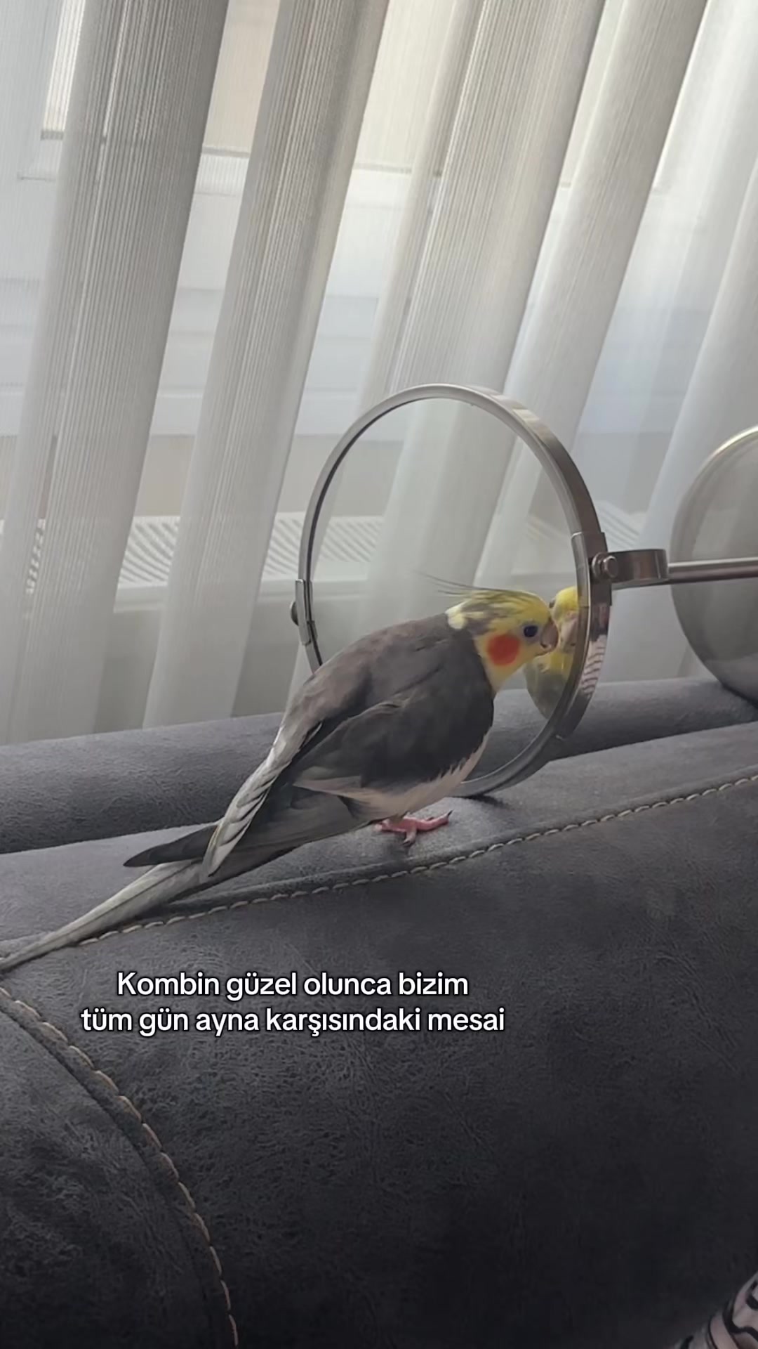 @Svg.K.E