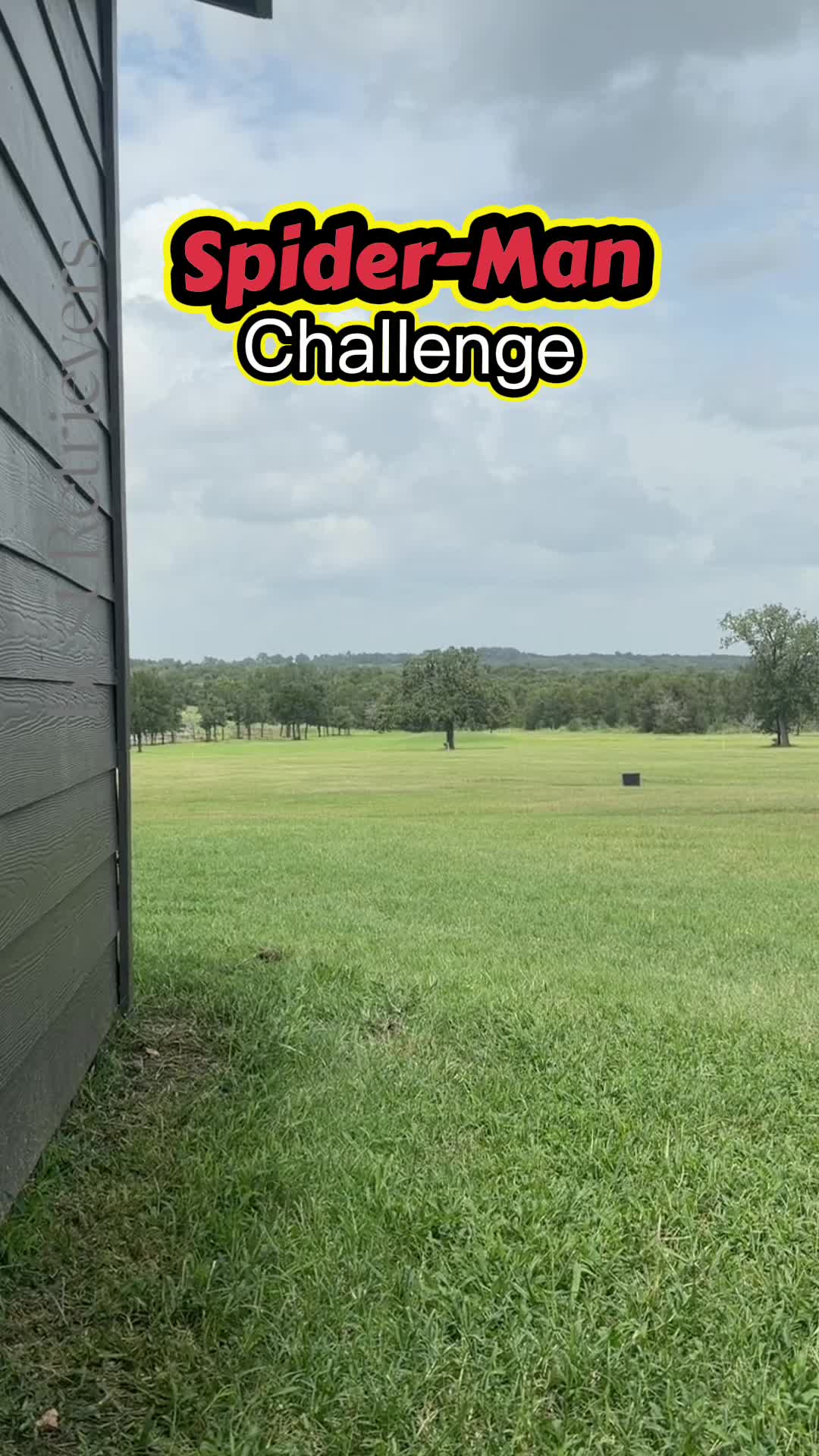 @Best Retrievers