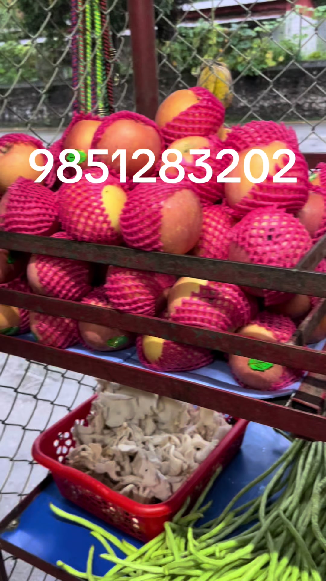 @Menuka_Bhandari