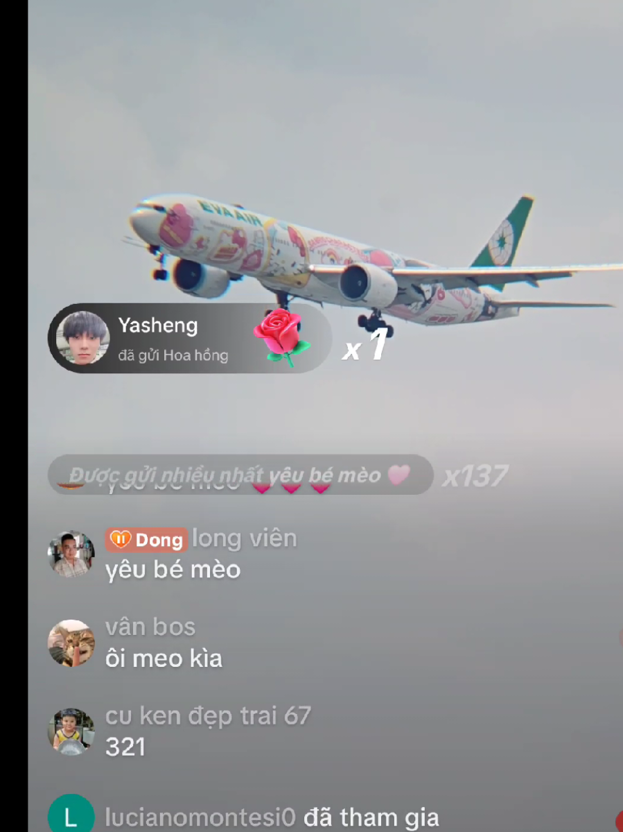 @Đồng Live Máy Bay ✈️