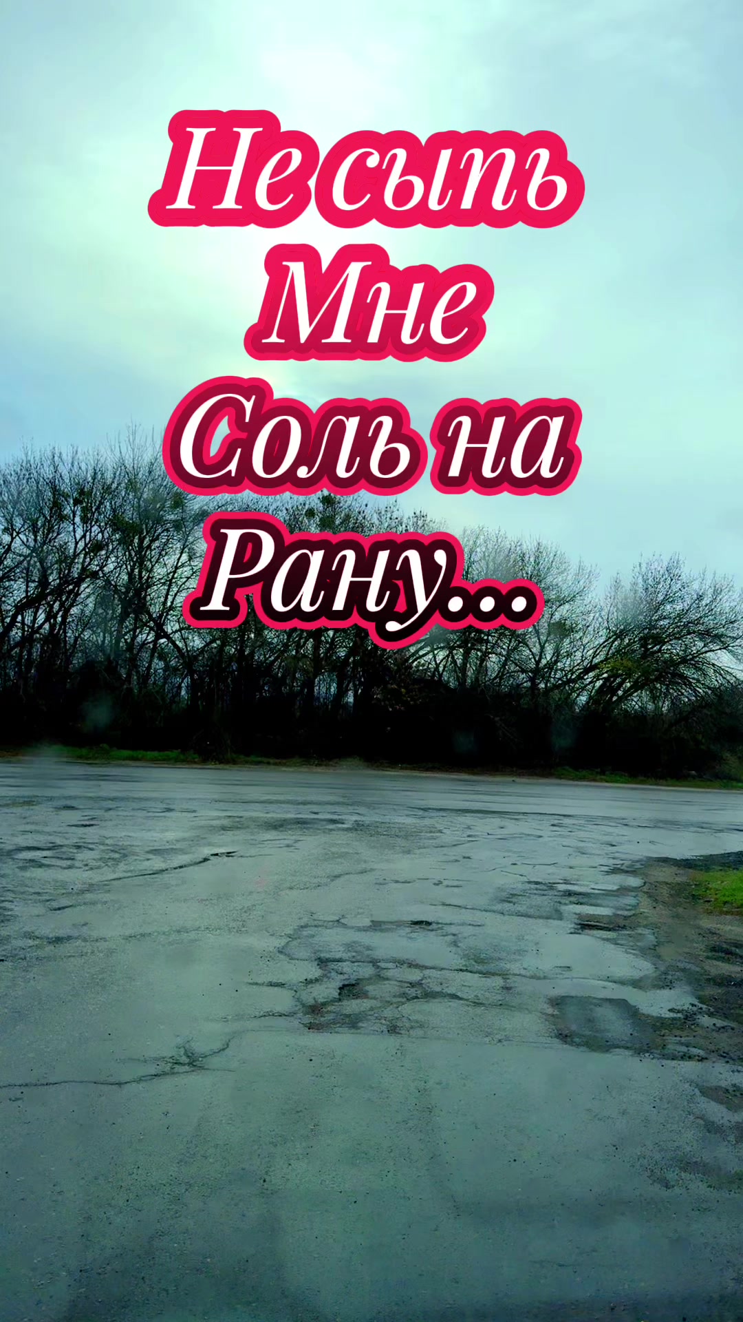 @vadim5614