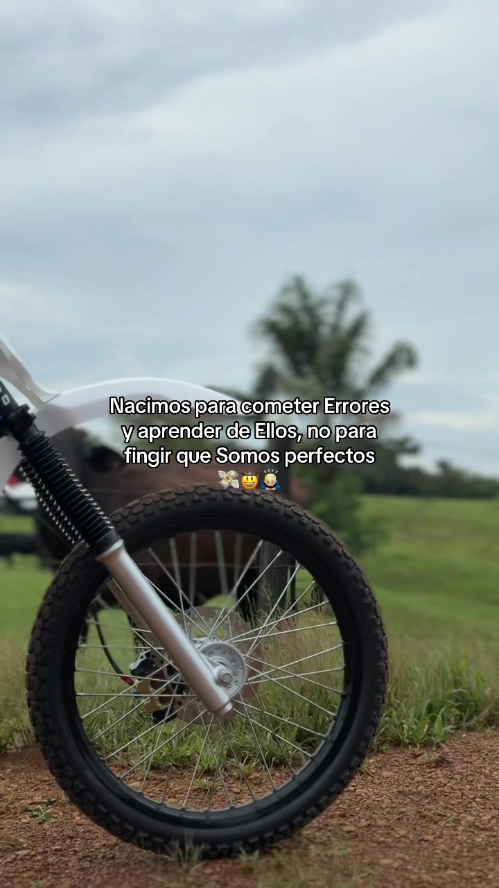 @El Mono🦦
