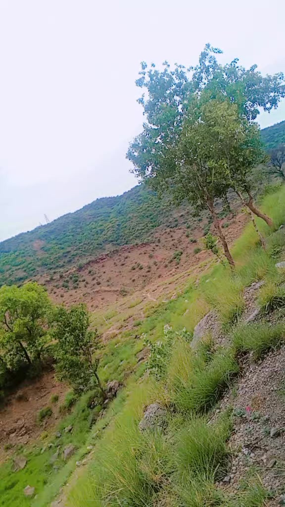 @🤨 ملک نوید ڈائیور خانیوال  😏