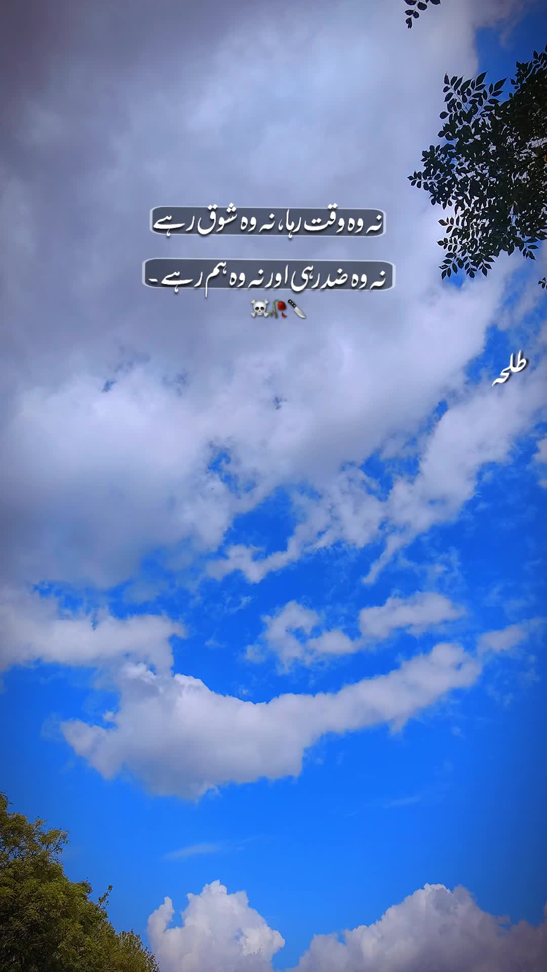 @Talha ki id