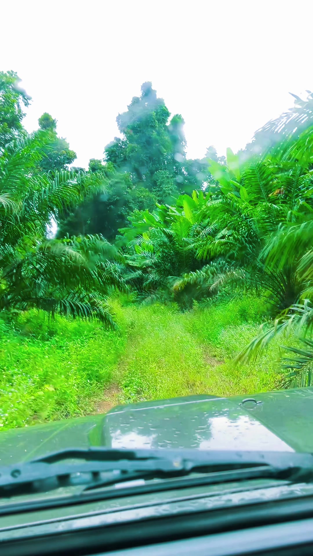 @Max Villa