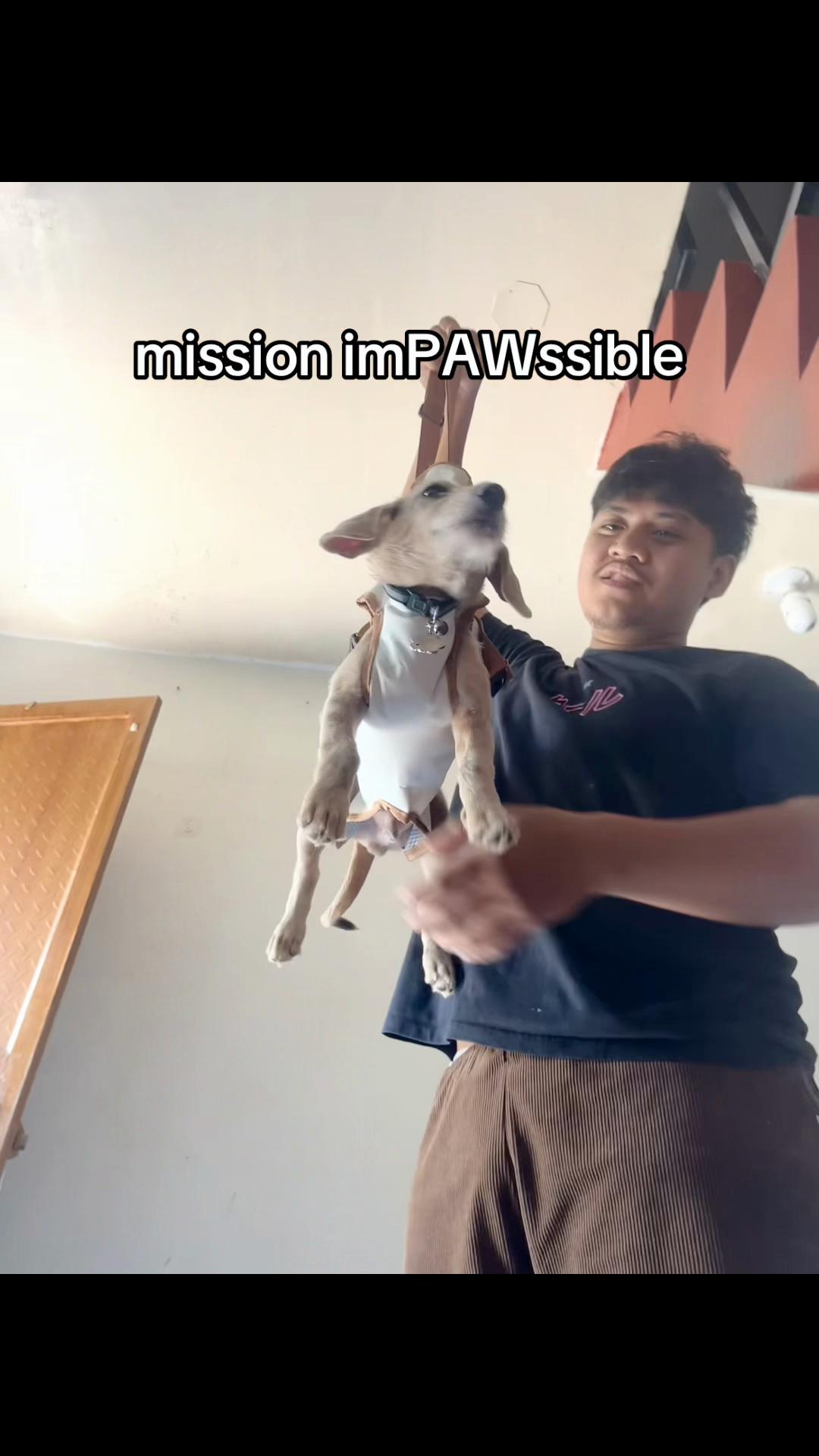 @jazzzzzziieeeee