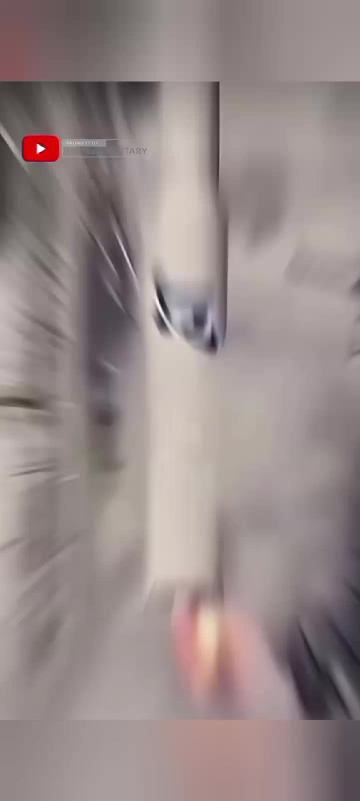 @PREDATOR79