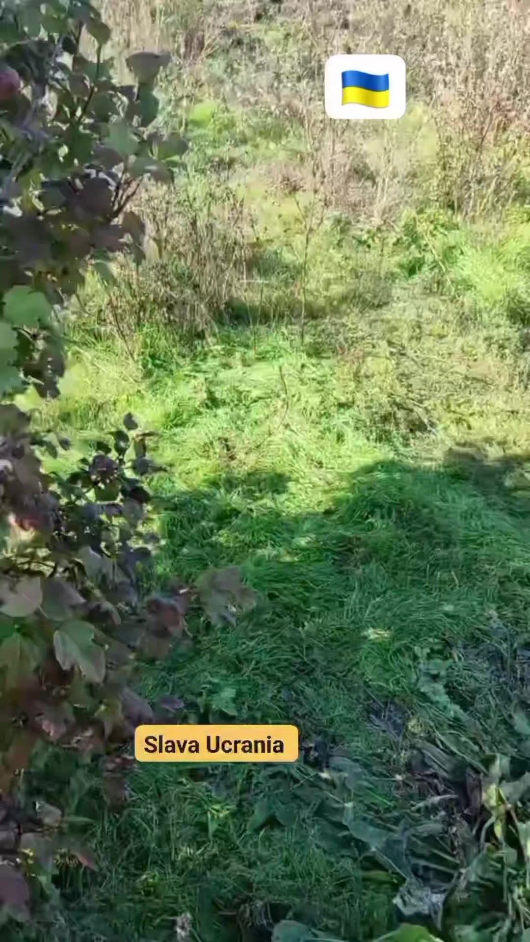 @MUNDO DE PERTO