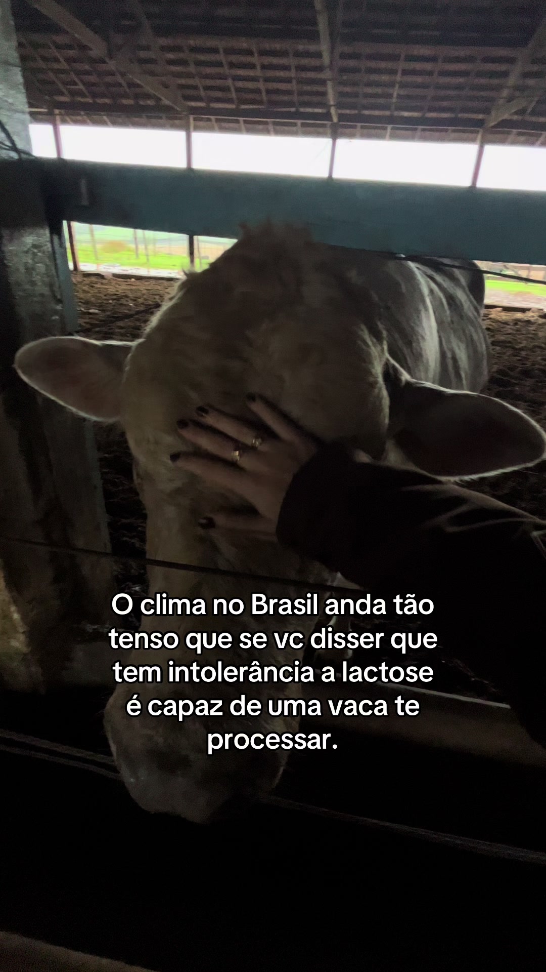 @ᗩᘉᗩ ᒍᑌ́ᒪIᗩ (reserva)