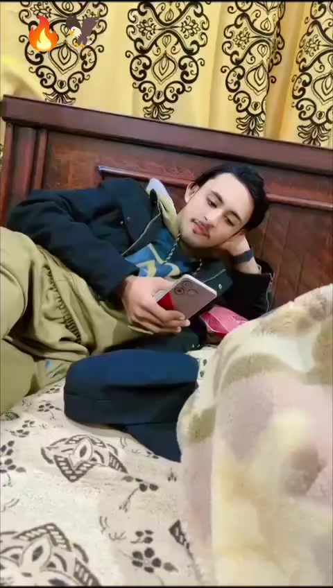 @talhaiali3