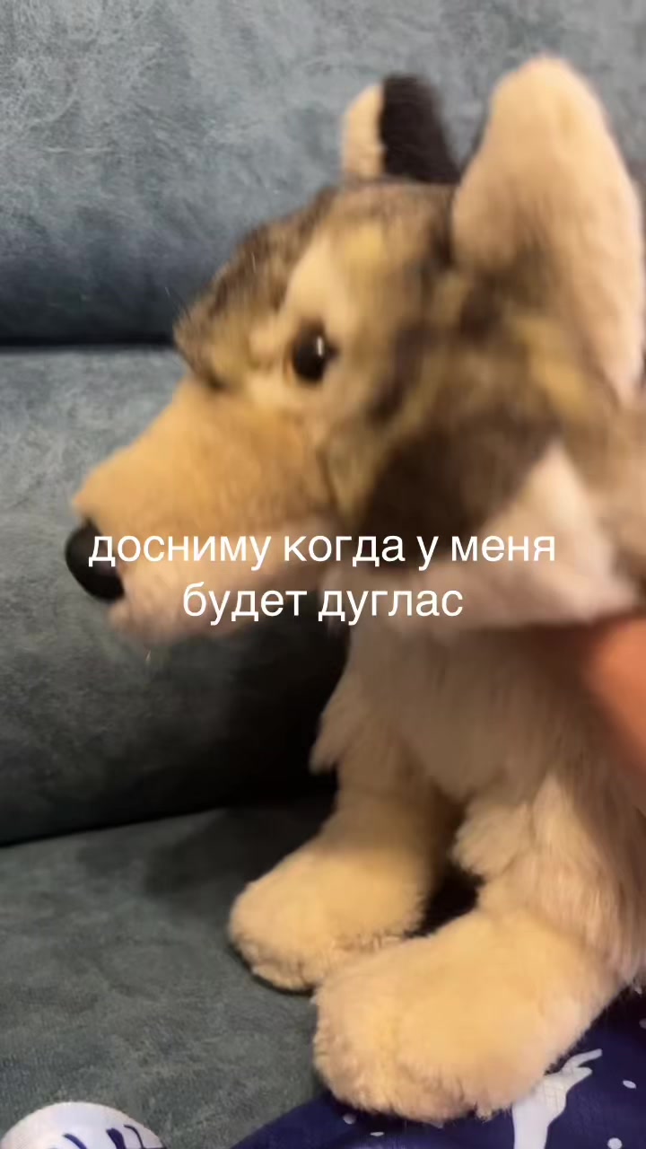 @♯🐾.ᴍᴇʏsʜɪ✧˚