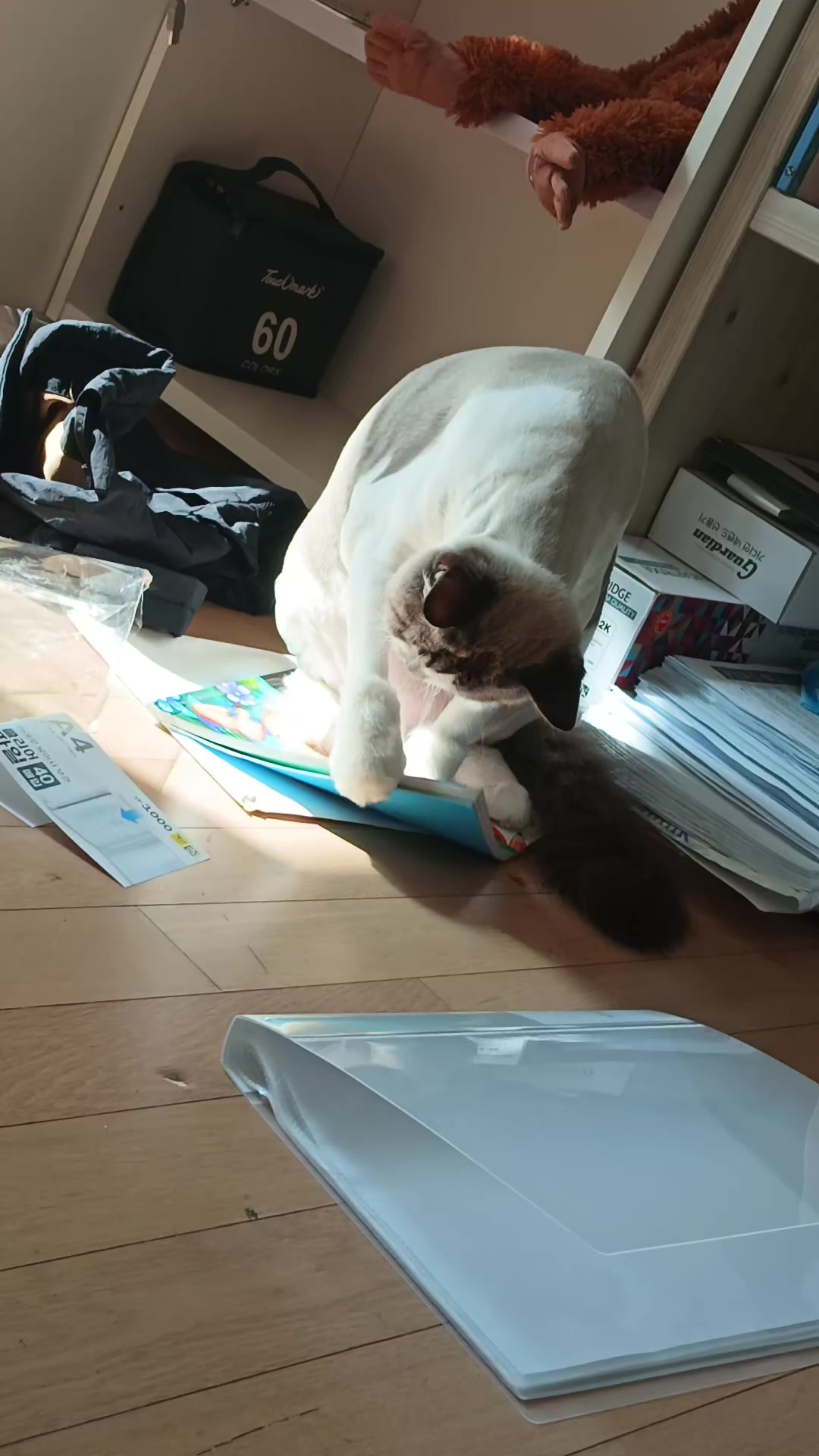 @연