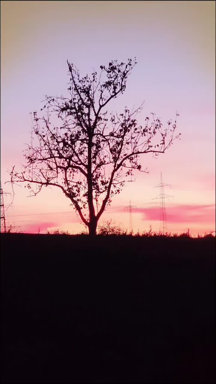 @Minir Sadiku Firajës