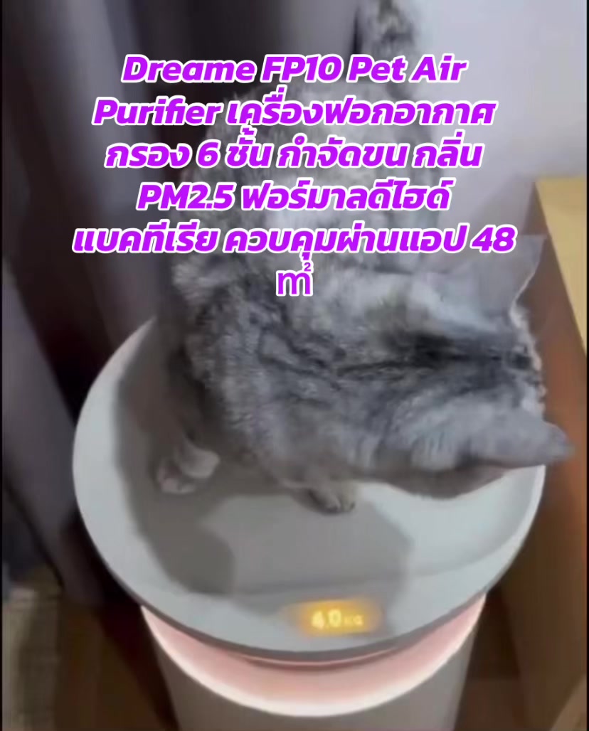 @luxsiriwan21