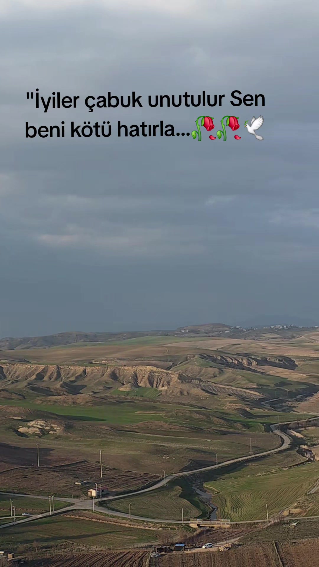 @Taner.tok