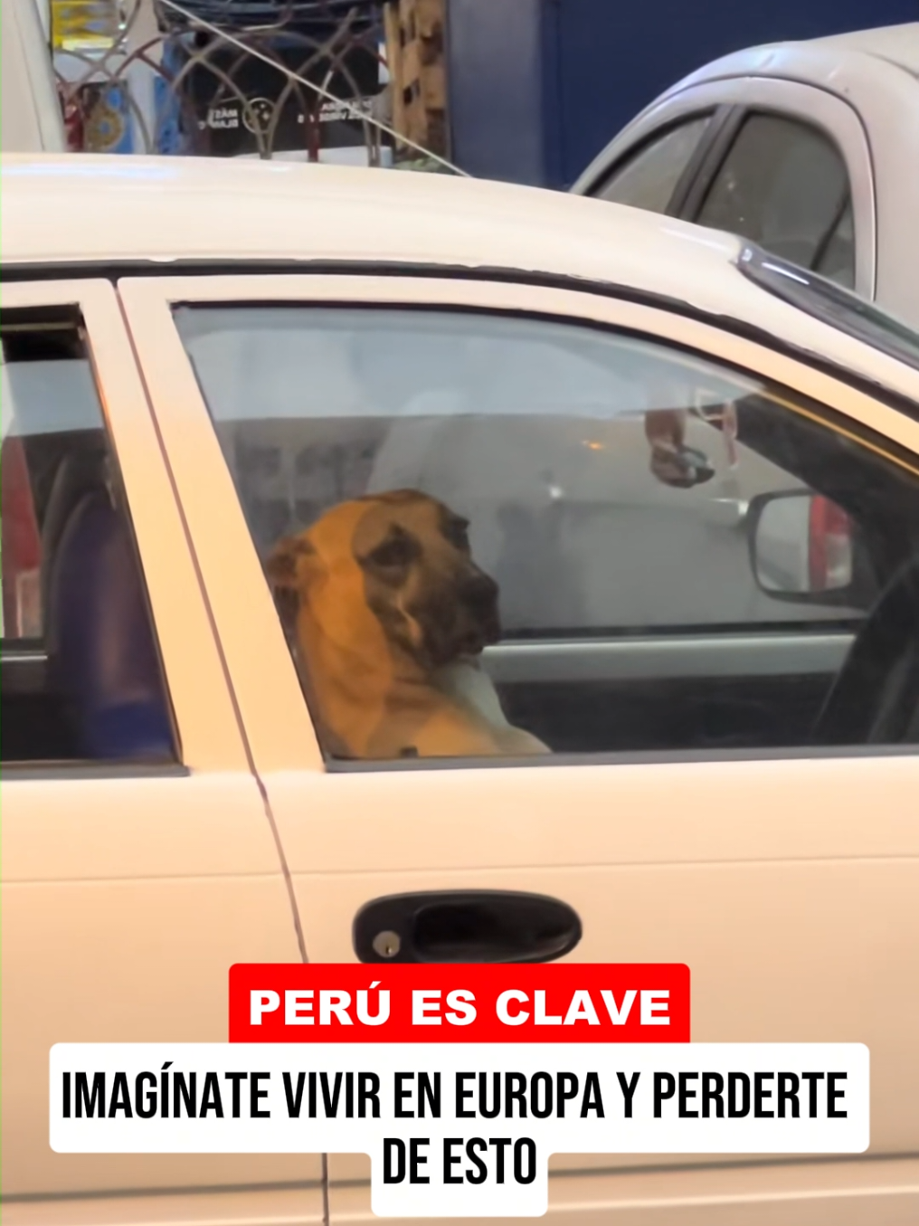 @El Chipi de las Noticias