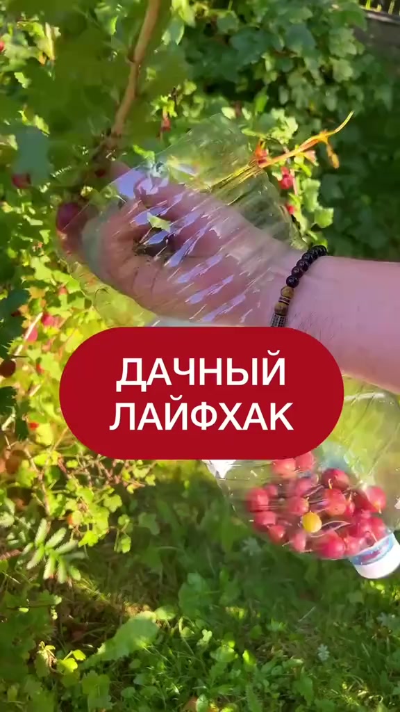 @dom_rustaevy