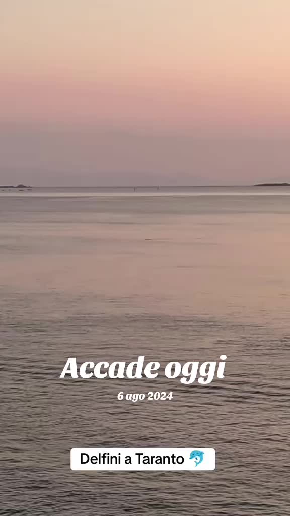 @💜SenzaOffesa 🐦🔥🐺