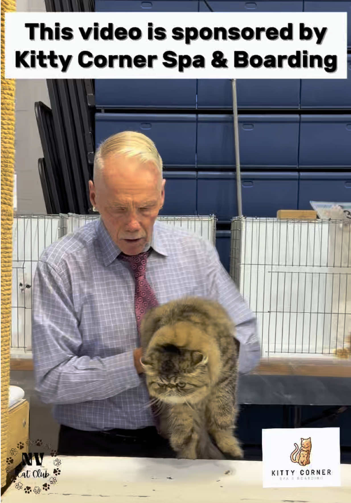 @NewVisionCatClub