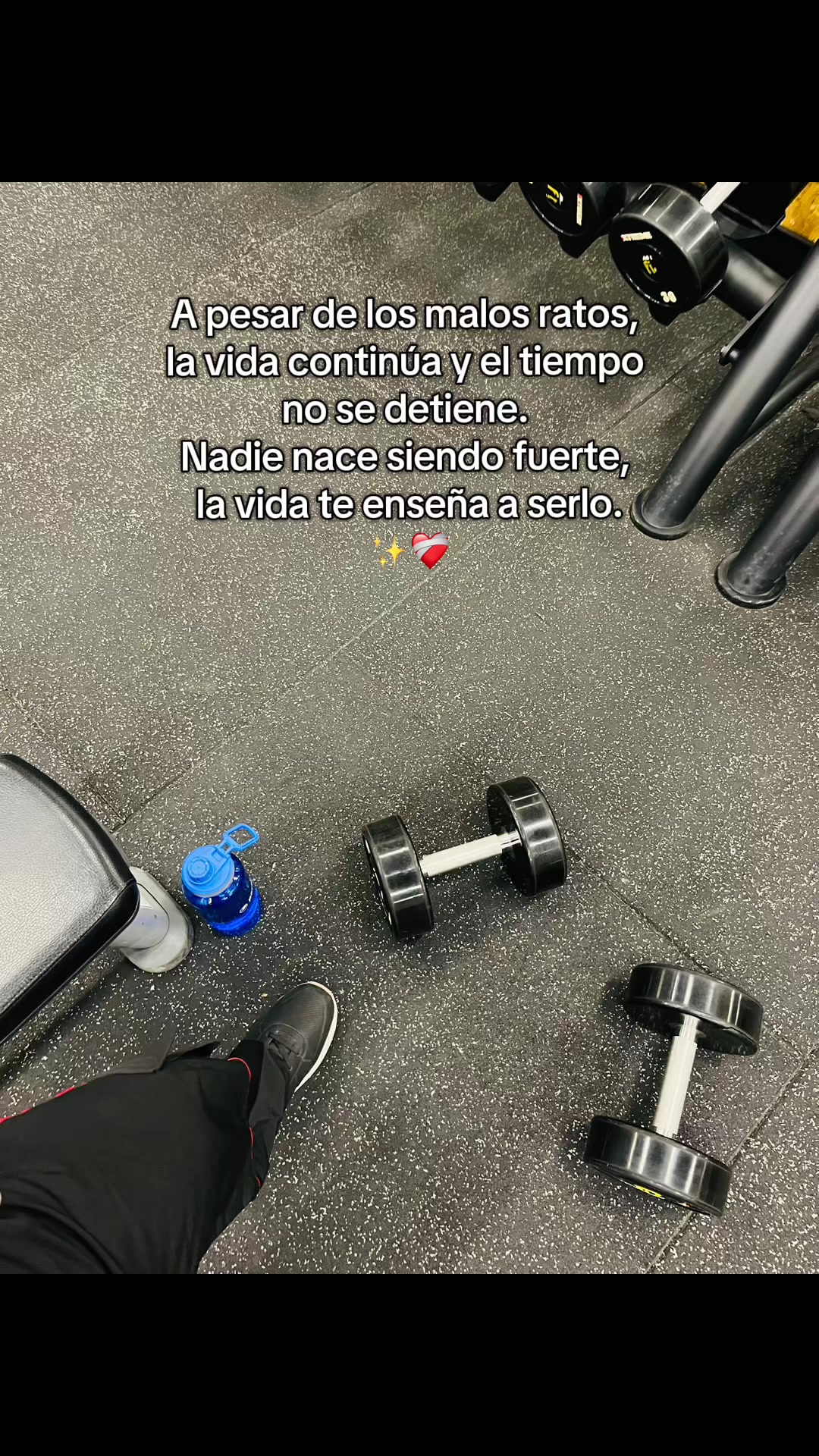 @🔱JackDaSilva🔱