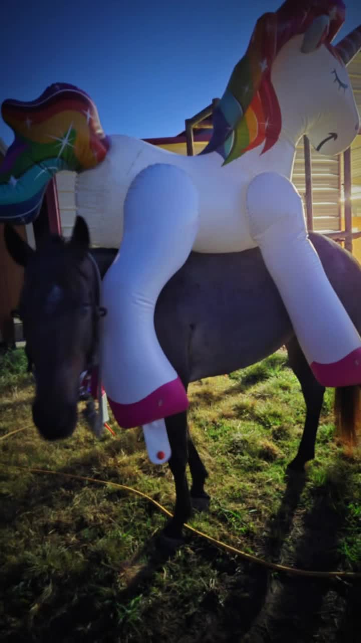 @pussnboots4555